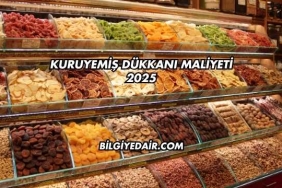 Kuruyemiş Dükkanı Maliyeti 2025