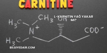 L-Karnitin Yağ Yakar mı?