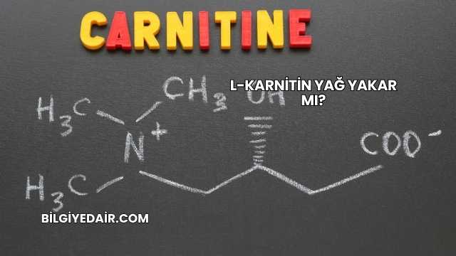 L-Karnitin Yağ Yakar mı?