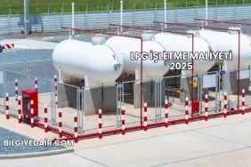 LPG İşletme Maliyeti 2025