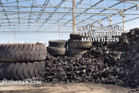 Lastik Dönüşüm Tesisi Kurulum Maliyeti 2025