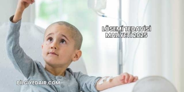 Lösemi Tedavisi Maliyeti 2025
