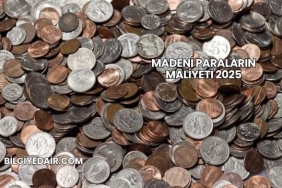 Madeni Paraların Maliyeti 2025
