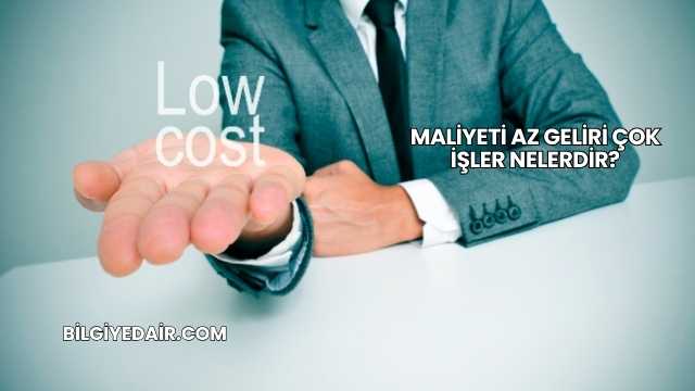 Maliyeti Az Geliri Çok İşler Nelerdir?