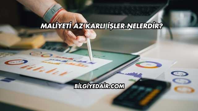 Maliyeti Az Karlı İşler Nelerdir?