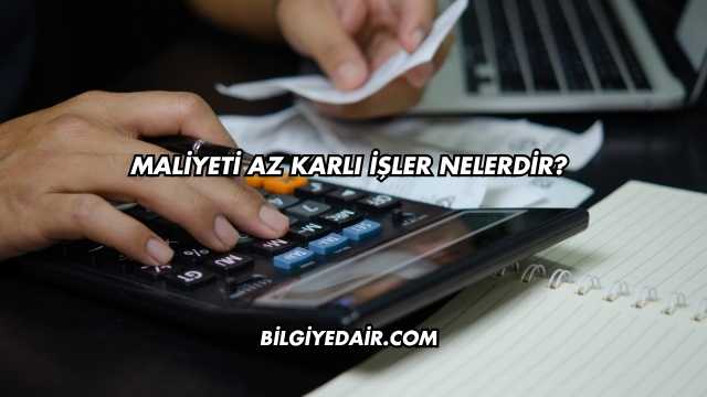 Maliyeti Az Karlı İşler Nelerdir?