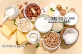 Mandıra Kurulum Maliyeti 2025