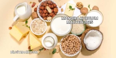 Mandıra Kurulum Maliyeti 2025