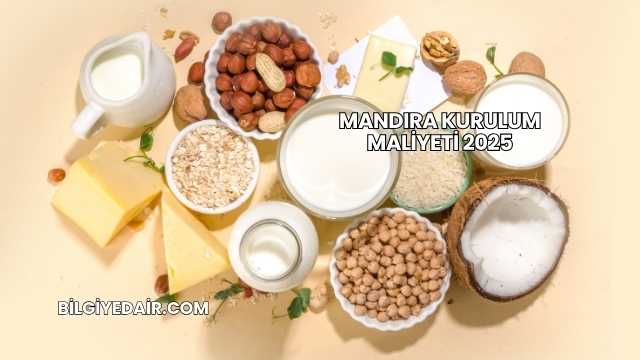 Mandıra Kurulum Maliyeti 2025