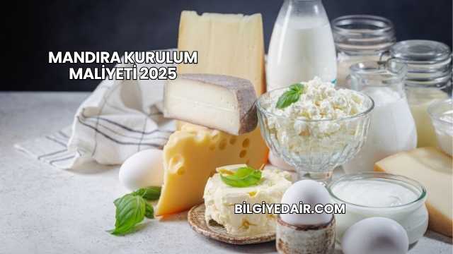 Mandıra Kurulum Maliyeti 2025