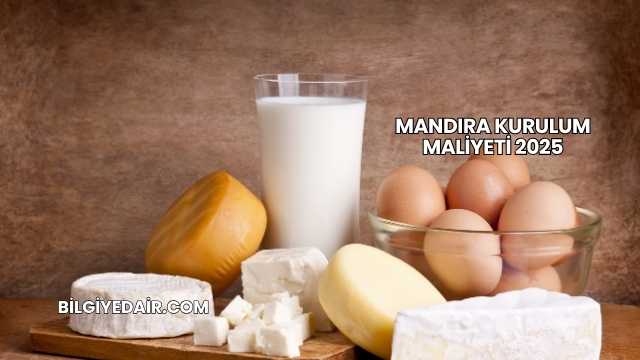 Mandıra Kurulum Maliyeti 2025