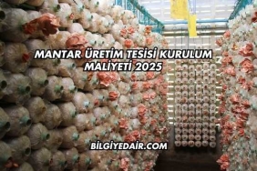 Mantar Üretim Tesisi Kurulum Maliyeti 2025