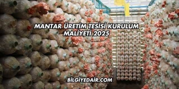 Mantar Üretim Tesisi Kurulum Maliyeti 2025