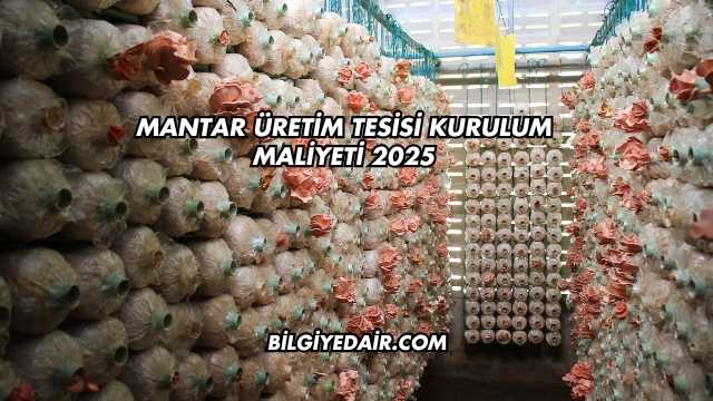 Mantar Üretim Tesisi Kurulum Maliyeti 2025