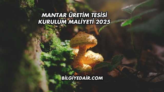 Mantar Üretim Tesisi Kurulum Maliyeti 2025