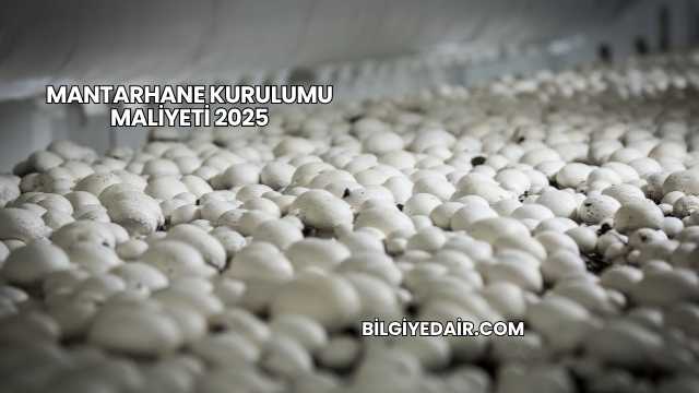Mantarhane Kurulumu Maliyeti 2025