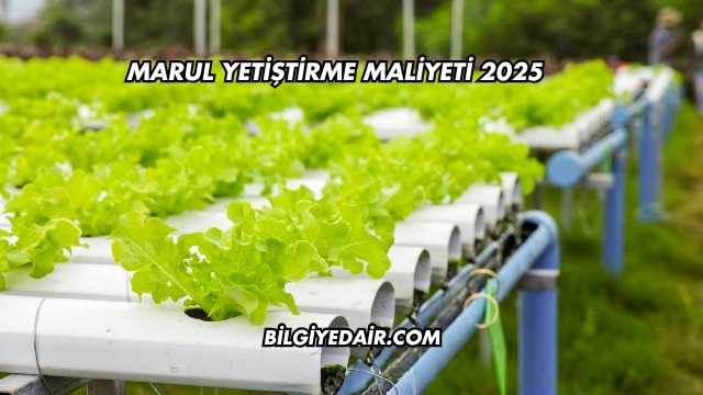 Marul Yetiştirme Maliyeti 2025