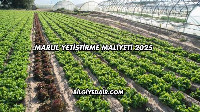 Marul Yetiştirme Maliyeti 2025