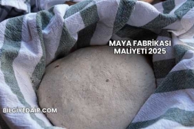 Maya Fabrikası Maliyeti 2025