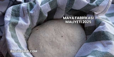 Maya Fabrikası Maliyeti 2025