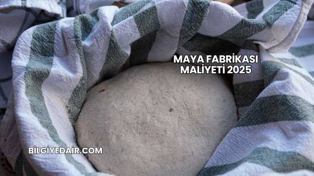 Maya Fabrikası Maliyeti 2025