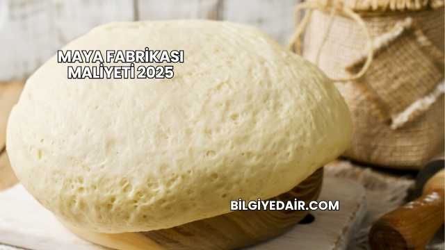 Maya Fabrikası Maliyeti 2025