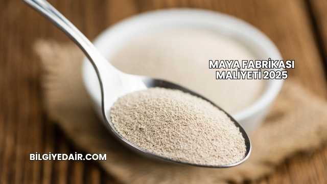 Maya Fabrikası Maliyeti 2025