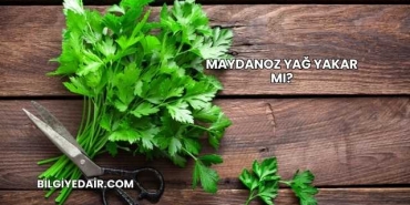 Maydanoz Yağ Yakar mı?