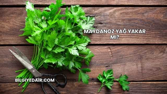 Maydanoz Yağ Yakar mı?