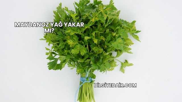 Maydanoz Yağ Yakar mı?