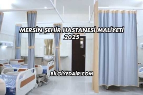 Mersin Şehir Hastanesi Maliyeti 2025