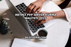 Metin2 PVP Server Kurma Maliyeti 2025