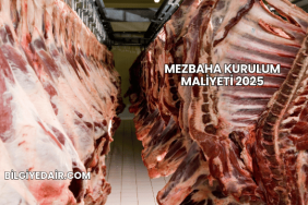 Mezbaha Kurulum Maliyeti 2025