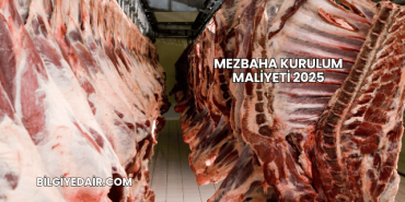 Mezbaha Kurulum Maliyeti 2025