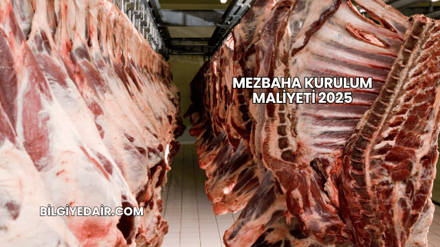 Mezbaha Kurulum Maliyeti 2025
