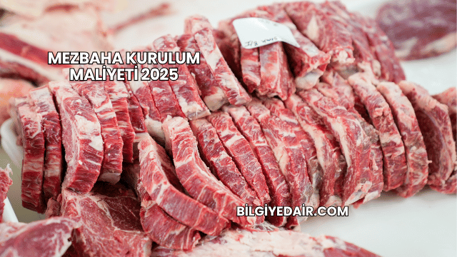 Mezbaha Kurulum Maliyeti 2025