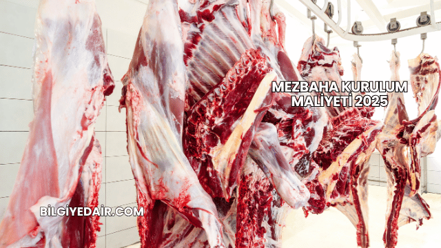 Mezbaha Kurulum Maliyeti 2025