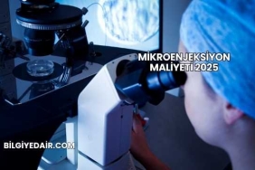 Mikroenjeksiyon Maliyeti 2025