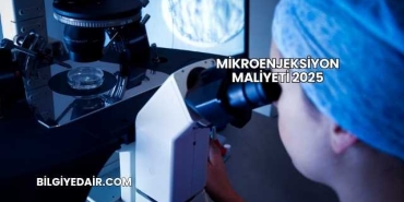 Mikroenjeksiyon Maliyeti 2025