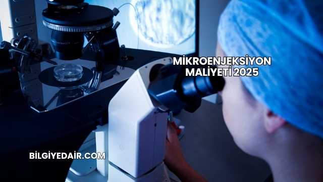 Mikroenjeksiyon Maliyeti 2025
