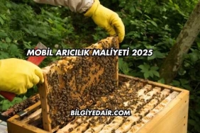 Mobil Arıcılık Maliyeti 2025