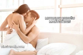 Mutluluk Çubuğu Maliyeti 2025