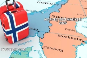 Norveç Gezi Maliyeti 2025
