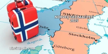 Norveç Gezi Maliyeti 2025