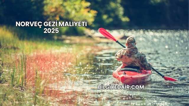 Norveç Gezi Maliyeti 2025