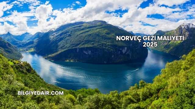 Norveç Gezi Maliyeti 2025
