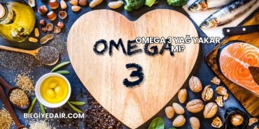 Omega 3 Yağ Yakar mı?