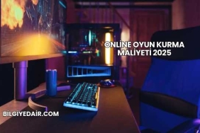 Online Oyun Kurma Maliyeti 2025