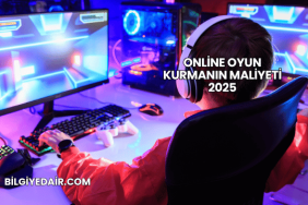 Online Oyun Kurmanın Maliyeti 2025