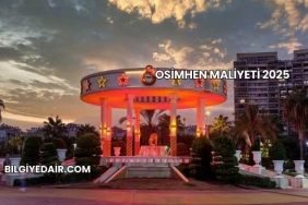 Osimhen Maliyeti 2025